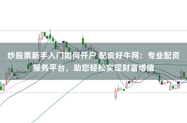 炒股票新手入门如何开户 配资好牛网：专业配资服务平台，助您轻松实现财富增值
