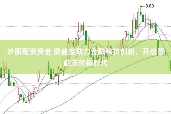 炒股配资资金 鼎盛宝助力金融科技创新，开启智能支付新时代