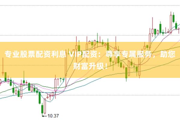 专业股票配资利息 VIP配资：尊享专属服务，助您财富升级！