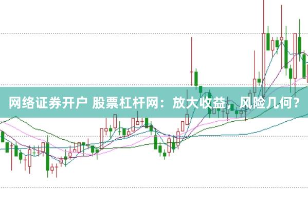 网络证券开户 股票杠杆网：放大收益，风险几何？