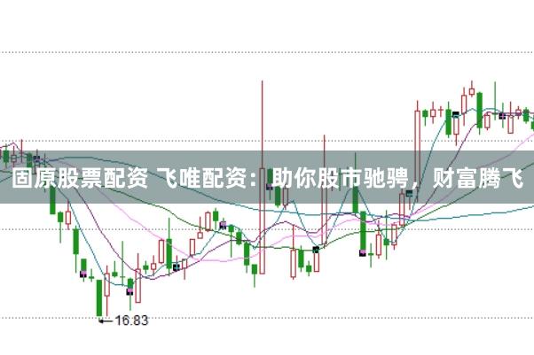 固原股票配资 飞唯配资：助你股市驰骋，财富腾飞