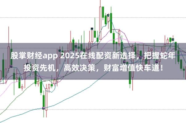股掌财经app 2025在线配资新选择，把握蛇年投资先机，高效决策，财富增值快车道！