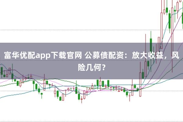 富华优配app下载官网 公募债配资：放大收益，风险几何？