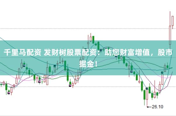千里马配资 发财树股票配资：助您财富增值，股市掘金！