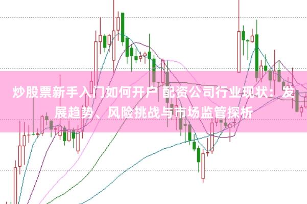炒股票新手入门如何开户 配资公司行业现状：发展趋势、风险挑战与市场监管探析