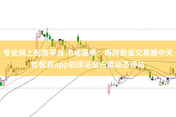 专业网上配资平台 市场观察：南向资金交易圈中天臣配资app的保证金占用动态评估