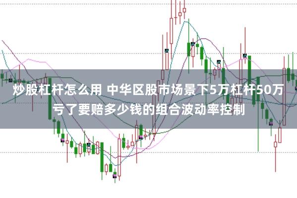 炒股杠杆怎么用 中华区股市场景下5万杠杆50万亏了要赔多少钱的组合波动率控制