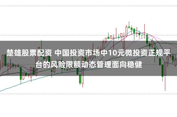 楚雄股票配资 中国投资市场中10元微投资正规平台的风险限额动态管理面向稳健