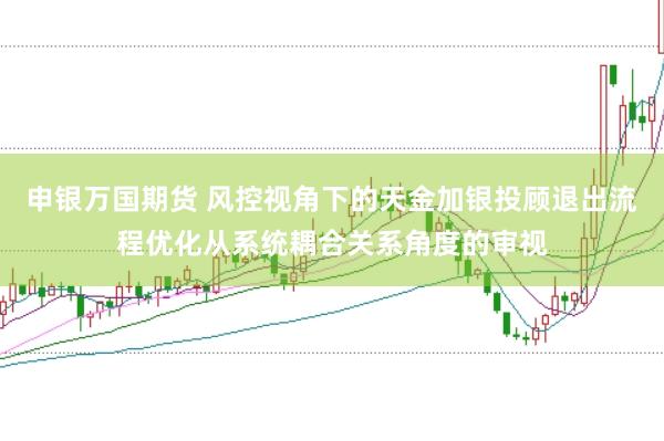 申银万国期货 风控视角下的天金加银投顾退出流程优化从系统耦合关系角度的审视