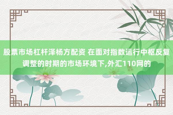 股票市场杠杆泽杨方配资 在面对指数运行中枢反复调整的时期的市场环境下,外汇110网的