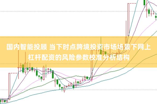 国内智能投顾 当下时点跨境投资市场场景下网上杠杆配资的风险参数校准分析结构