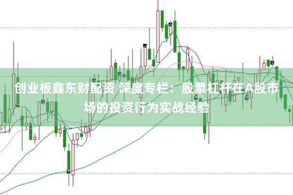 创业板鑫东财配资 深度专栏：股票杠杆在A股市场的投资行为实战经验