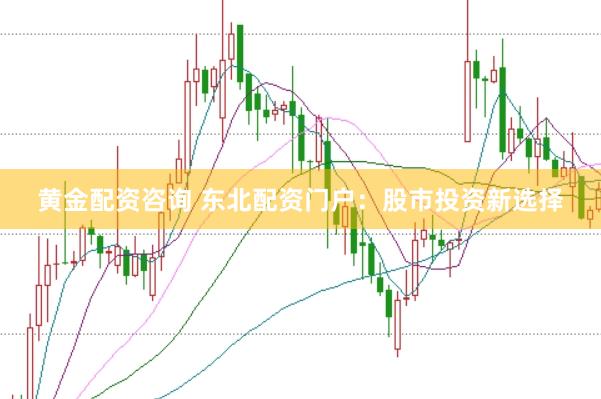 黄金配资咨询 东北配资门户：股市投资新选择