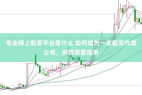 专业网上配资平台是什么 如何成为一家配资代理公司，步骤简要指南